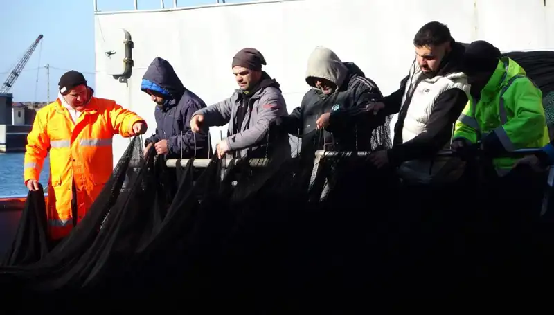 Denizlerde Hamsi Avı Son Buldu: Tekneler Neden Erken Döndü?