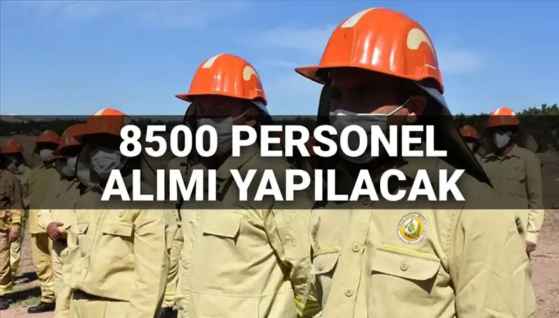 Tarım ve Orman Bakanlığı 2025 Personel Alımı Detayları Açıklandı: 8500 Kadro Beklentisi
