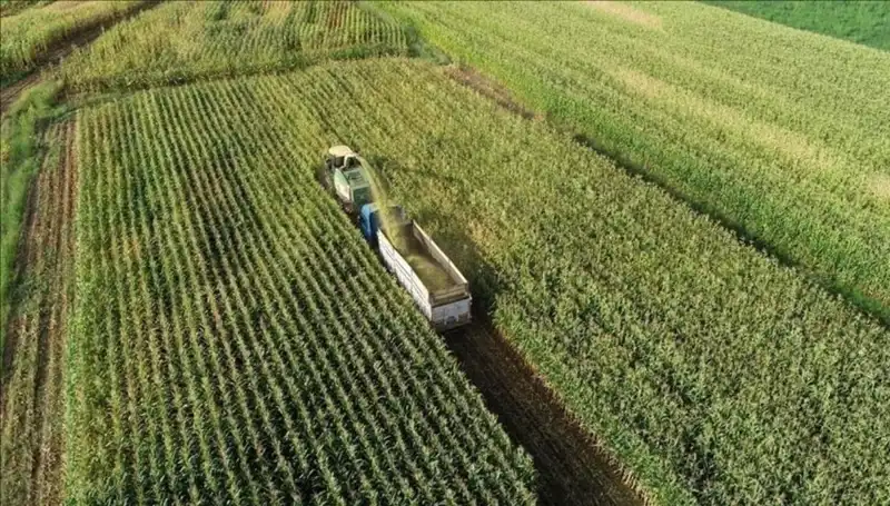 2025 Mart Ayında Mazot ve Gübre Desteği Ödemeleri: Son Durum ve Sorular