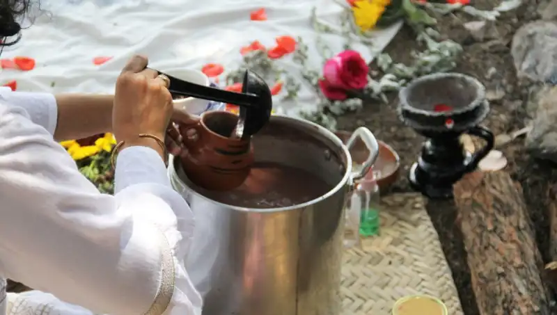 Ayahuasca: Gizemli İyileştirici Çay ve Yasal Durumu
