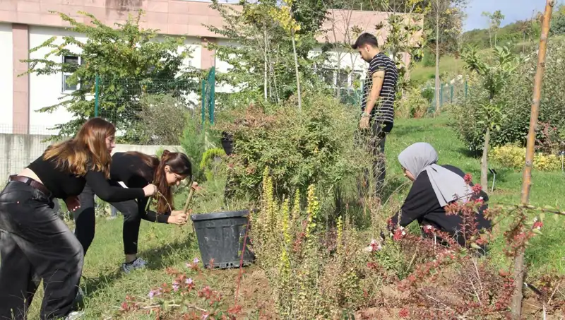 Düzce'den Dünyaya Uzanan Bir Başarı Hikayesi: Hayal Gerçek Oldu