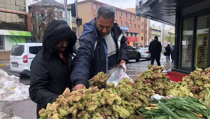 Kendiliğinden Yetişen Bu Bitki, Kanser Tedavisinde Çığır Açıyor!