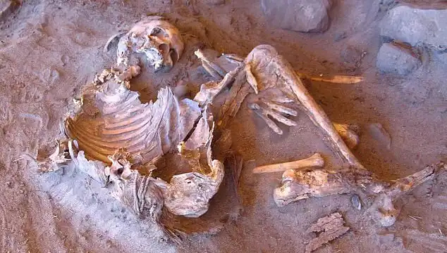 Yeni Mumya Keşfi: İnsanlığın Soy Ağacı Yeniden Şekilleniyor!