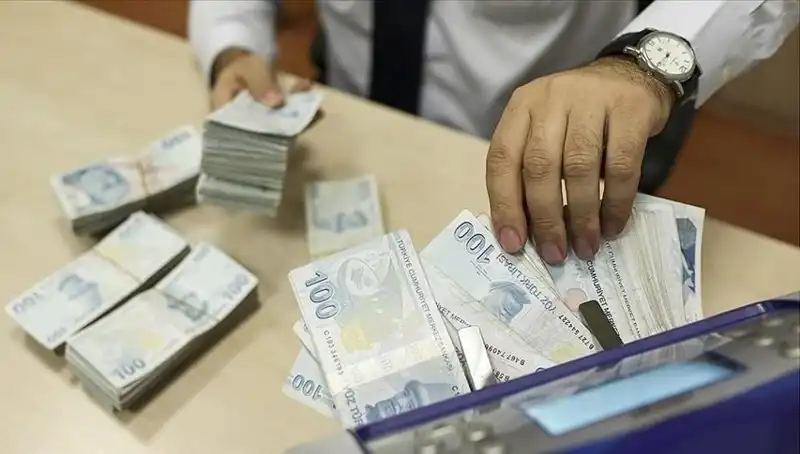 Türkiye'deki Bireysel Emeklilik Sistemi: 17,36 Milyon Kişi Katılıyor