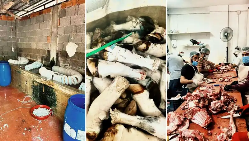 Adana'da Mide Bulandıran Görüntüler: Yüzlerce Kilo Kaçak Paça Ele Geçirildi!