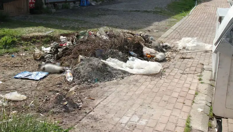 Antalya'nın Kalbinde Vahşet: 10 Kedi Ölü Bulundu!